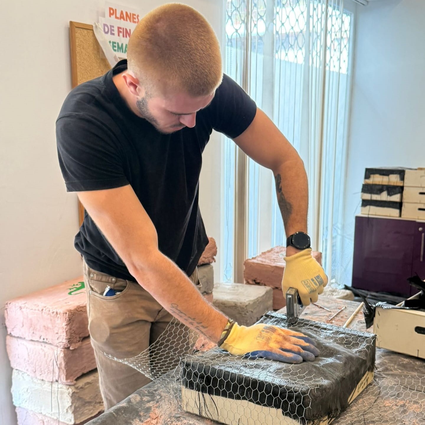 independencia usuarios