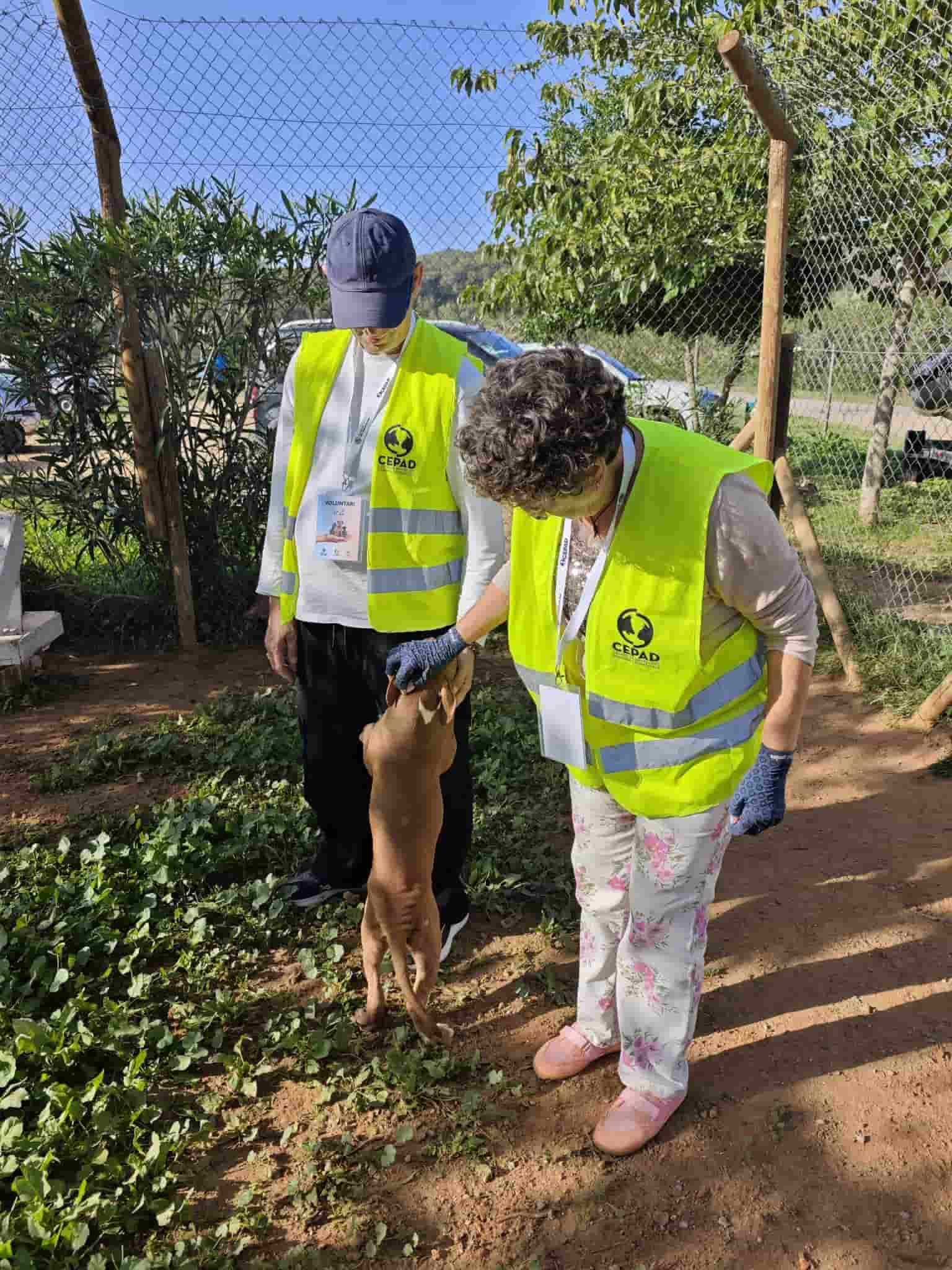 Foto Acompañamiento Voluntariado CEPAD