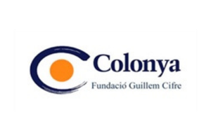 fundacion guille